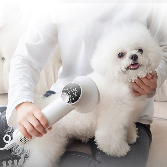 Zambinga PawDry™ Pet Grooming Dryer Brush