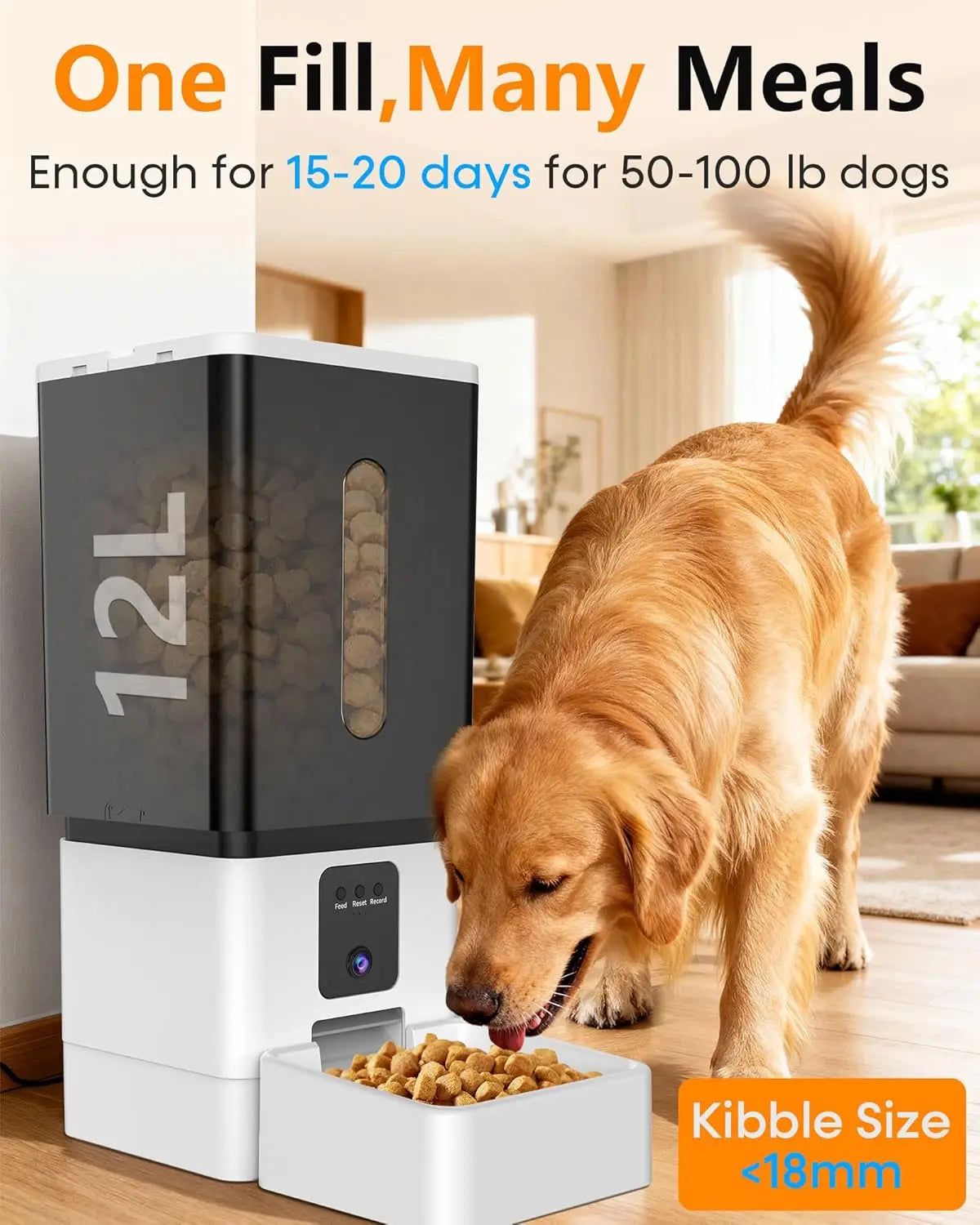 Zambinga 12L Smart Video Feeder