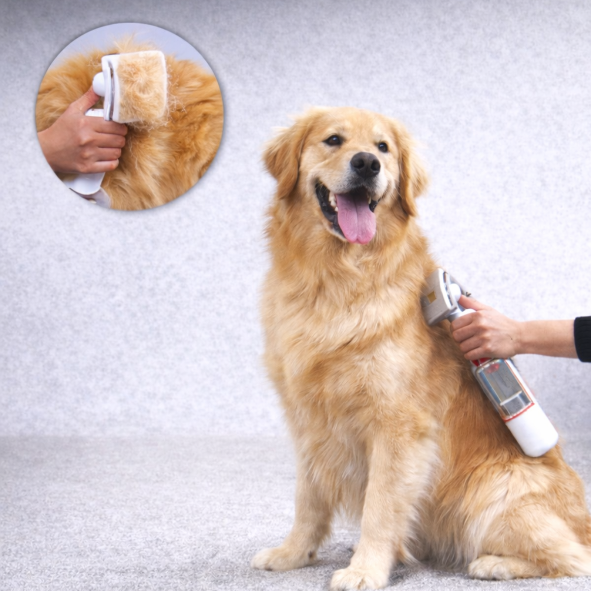 Zambinga PawVac™ Pet Grooming & Hair Removal Vacuum